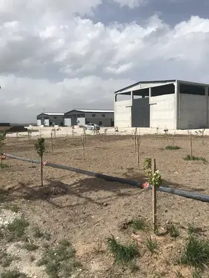 İkonya Hayvancılık (YILMAZLAR Besicilik)