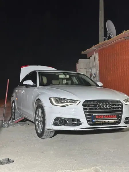 Ildiz Garage - Photo 4