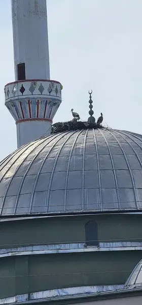 Ilıcaköy Pazaryeri - Photo 10
