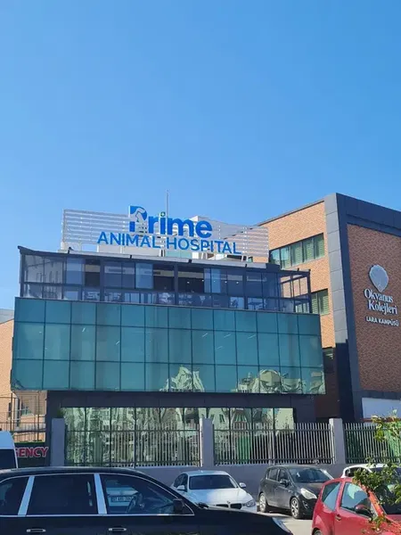 International Prime Animal Hospital - Photo 2