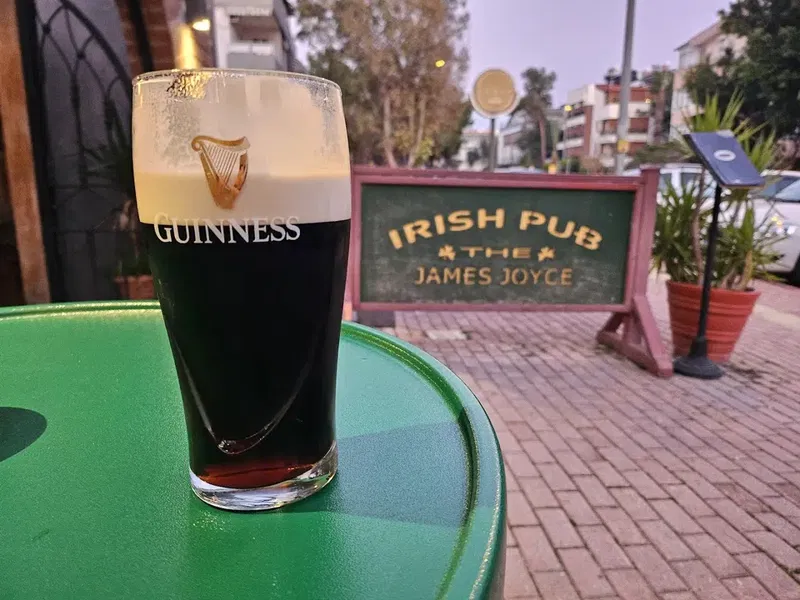 The James Joyce Irish Pub - Photo 7