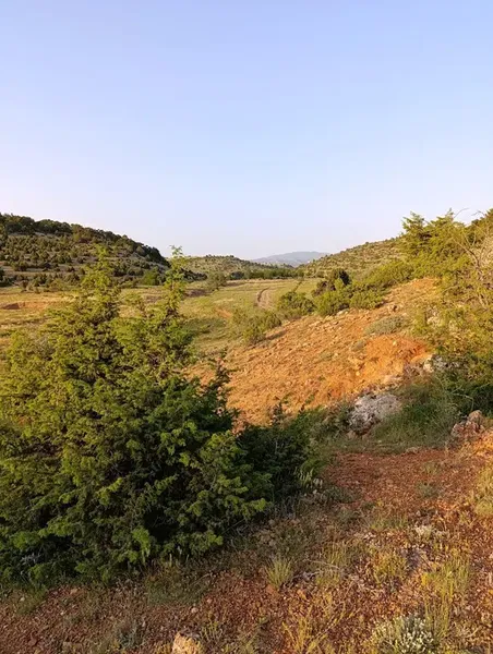 İsimsiz Çeşme - Photo 10