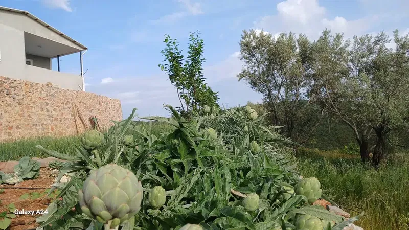 İsmail Er.molla Yazlık evi. Molla sokak no 28/1 - Photo 2