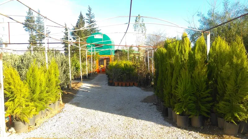 Işik Fi̇ndancilik - Photo 4