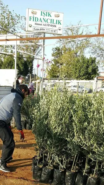 Işik Fi̇ndancilik - Photo 9