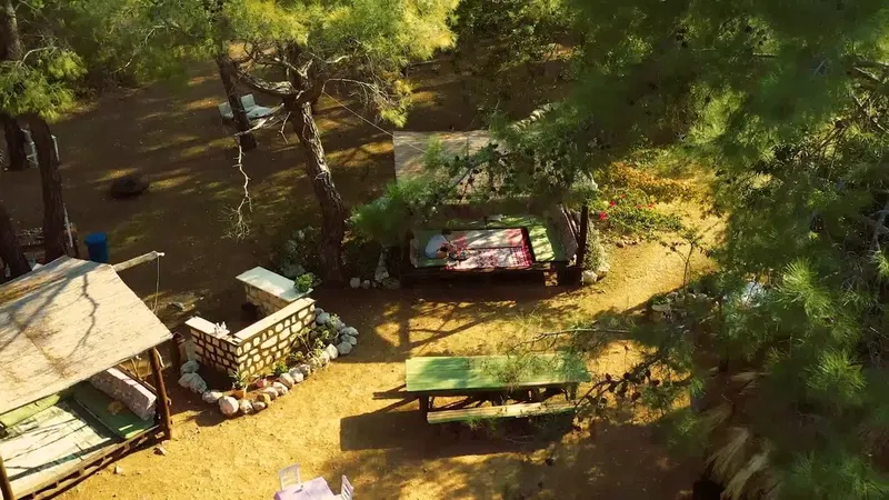 Jungle Bungalows & Camping - Photo 2