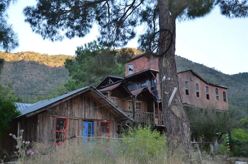 Jungle Bungalows & Camping - Photo 4
