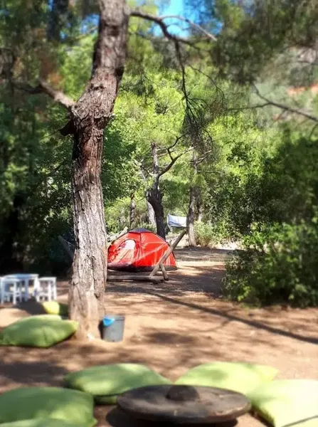 Jungle Bungalows & Camping - Photo 5