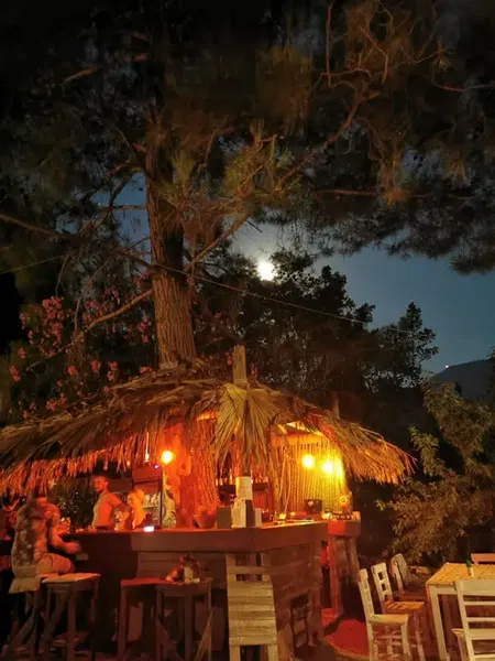 Jungle Bungalows & Camping - Photo 7