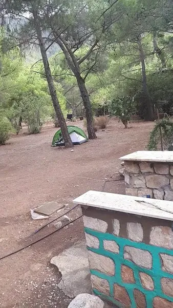 Jungle Bungalows & Camping - Photo 8