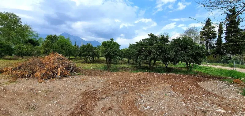 Kaan - Photo 8