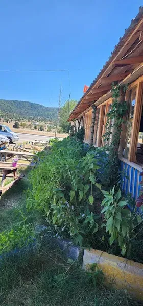 Kahvaltı dünyasi - Photo 9