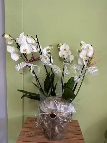 Kaizen Çiçekçilik - Photo 4