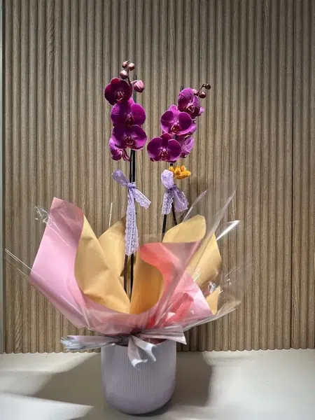Kaizen Çiçekçilik - Photo 10