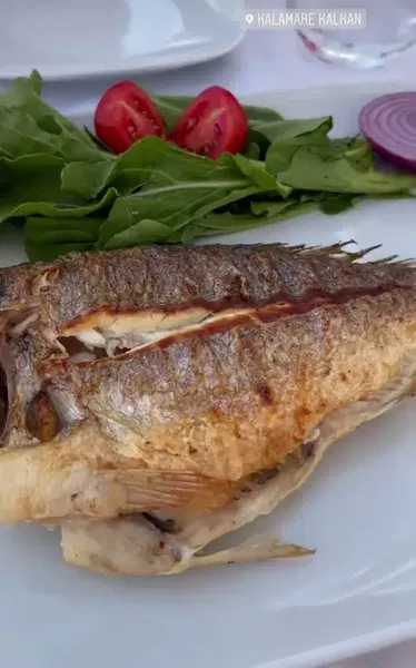 Kalamar Restaurant - Photo 2