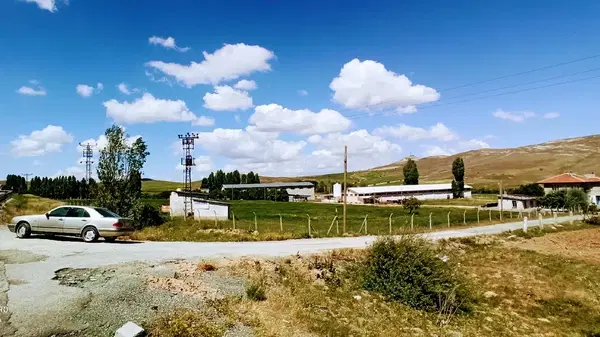 Kalfalar Tavuk Çiftliği