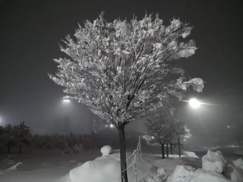 Kamyon Tır Parkı - Photo 5