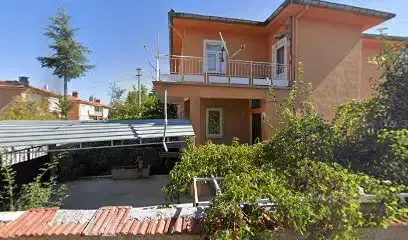 Karaagac Filiz