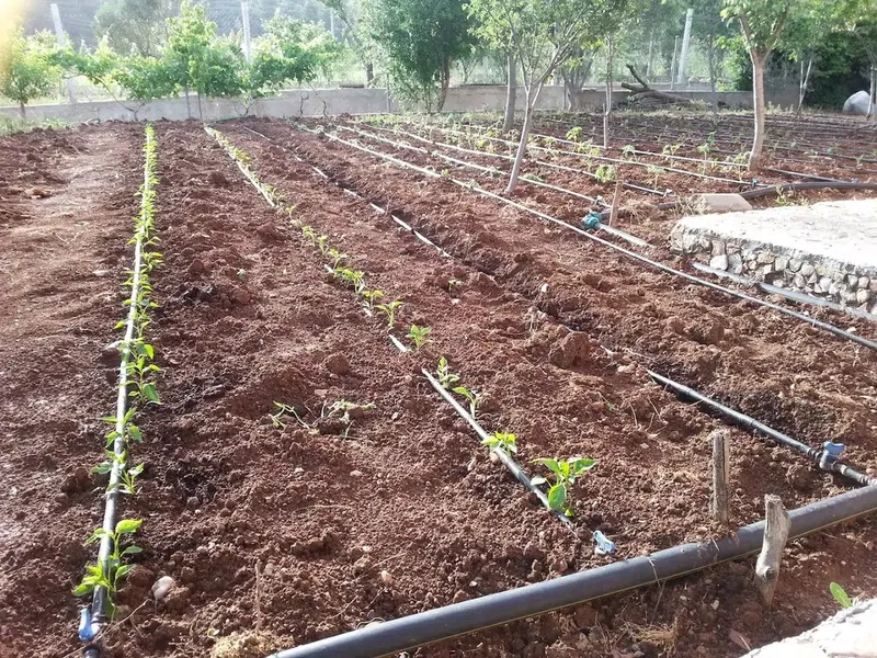 Karaben çifliği - Photo 7