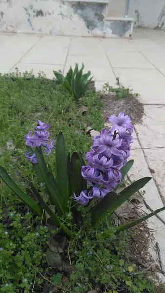 Karaben çifliği - Photo 8