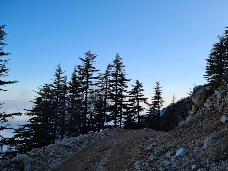 Karacaören Kırkmuğar Yaylası - Photo 3