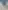 Karakuş tarım ürn nak tic fotoğrafı