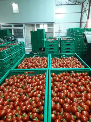 Karamık Soğuk Hava Deposu