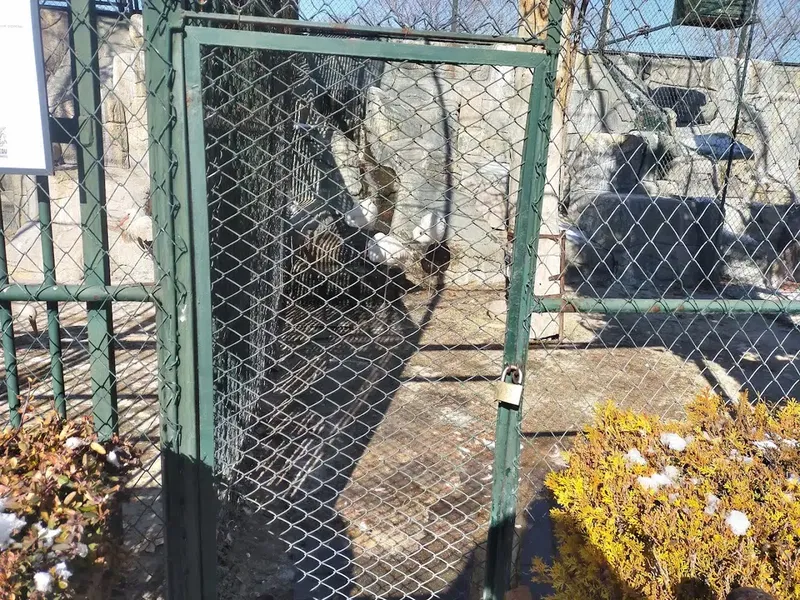 Karatay Belediyesi Hayvanat Bahçesi - Photo 6