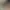 Karatay Belediyesi Toptan Sebze Ve Meyve Hali fotoğrafı