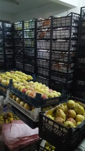 Karatay Belediyesi Toptan Sebze Ve Meyve Hali - Photo 5