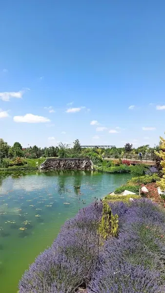 Karatay Şehir Parkı - Photo 10