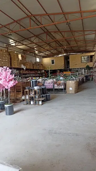 Karaçam tarım - Photo 3