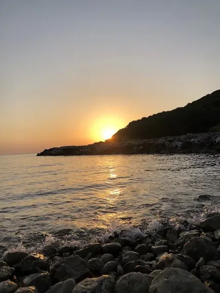Karaöz Hurmalık - Photo 7