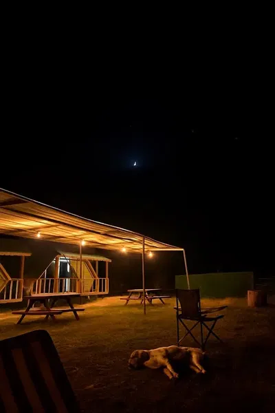 Karaöz Yelken Bungalow - Photo 6