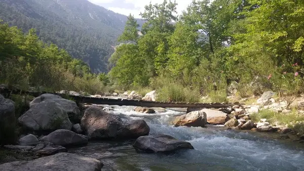 Karağaç Pi̇kni̇k Alani