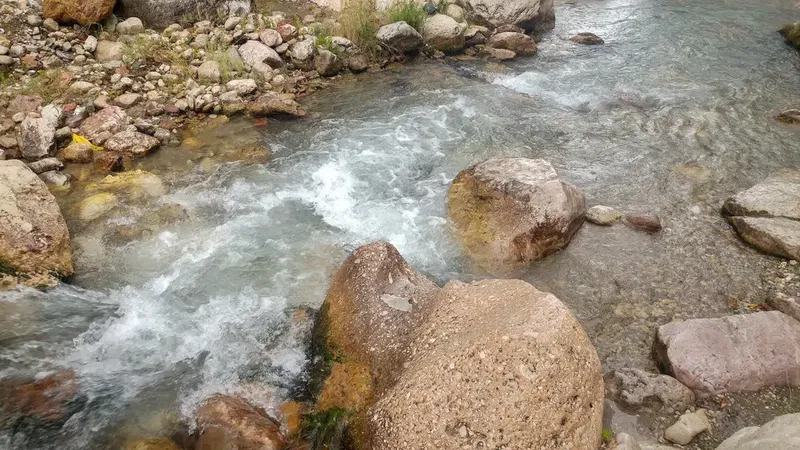 Karağaç Pi̇kni̇k Alani - Photo 4