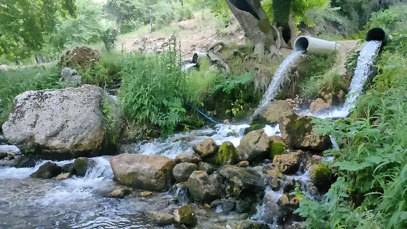 Karağaç Pi̇kni̇k Alani - Photo 8