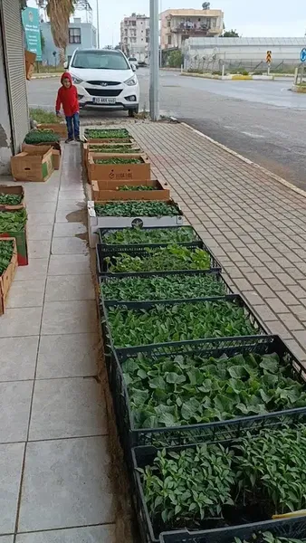 Kardeş Tarım - Photo 2