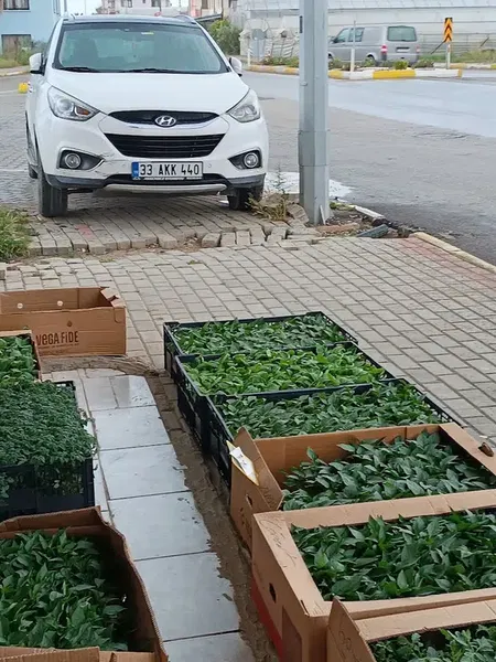 Kardeş Tarım - Photo 3