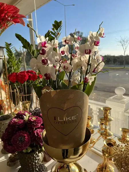 Katre Çi̇çekçi̇li̇k - Photo 3