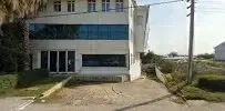 Katre Çi̇çekçi̇li̇k - Photo 7
