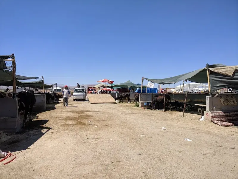 Kayacık Kurban Pazarı - Photo 6