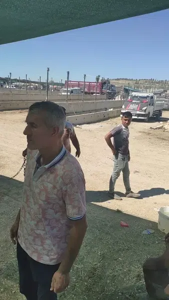 Kayacık Kurban Pazarı - Photo 8