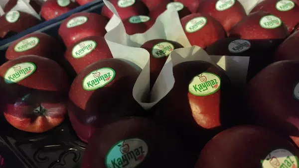 Kaymaz Tarım Ürünleri Çiftliği