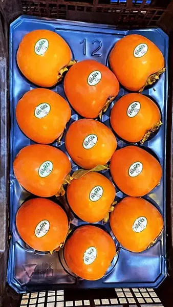 Kaymaz Tarım Ürünleri Çiftliği - Photo 10