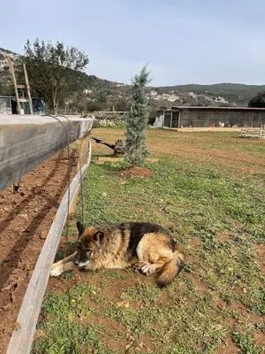 Kaş At Çiftliği-Kas Horse Riding