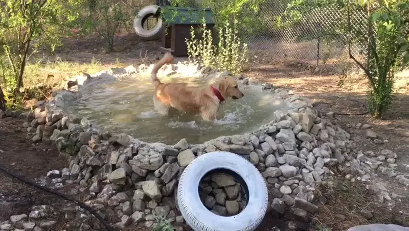 Kaş Köpek Oteli - Photo 2