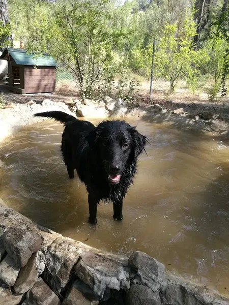 Kaş Köpek Oteli - Photo 9