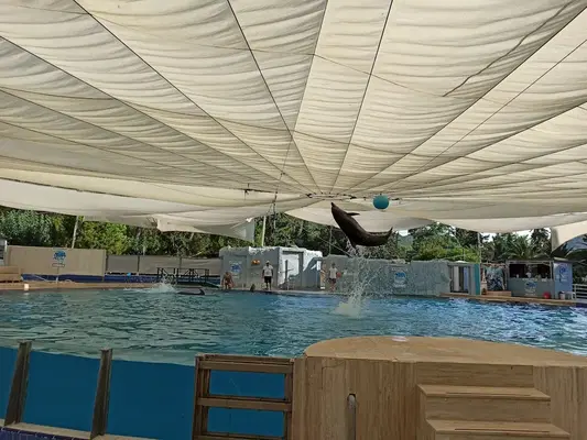 Kemer Dolphinpark Ayışığı Kompleksi içi