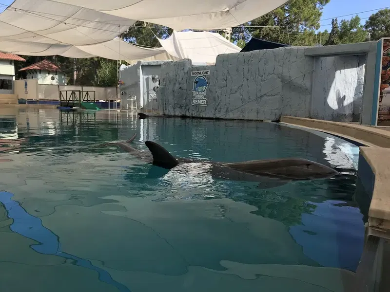 Kemer Dolphinpark Ayışığı Kompleksi içi - Photo 4